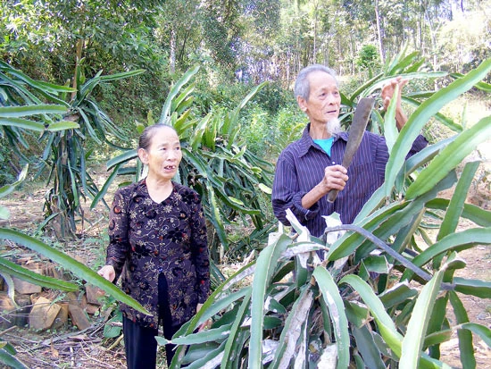 Đất của hai quê