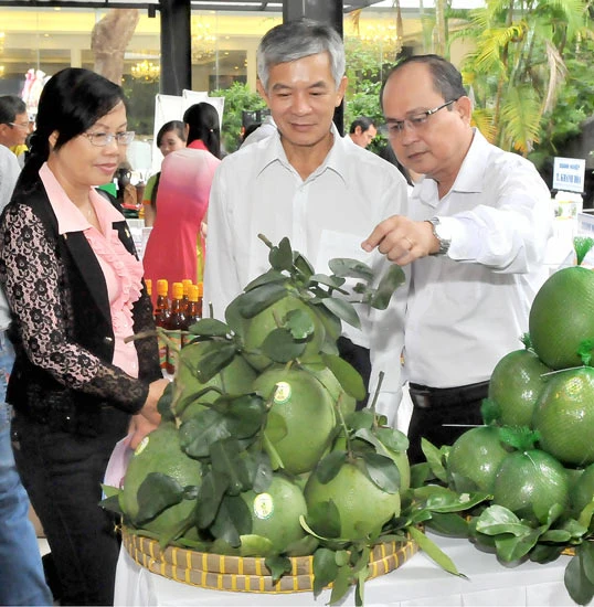 TPHCM liên kết 30 tỉnh, thành đẩy mạnh sản xuất và tiêu thụ hàng nông sản