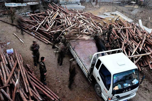 Cứu được 11 người trong vụ sập mỏ thạch cao ở Trung Quốc
