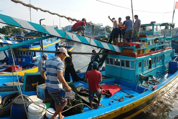 Ngư dân Bình Thuận rộn ràng ra khơi ngày đầu năm