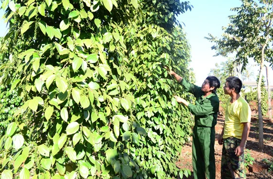 Làm giàu không chỉ riêng mình