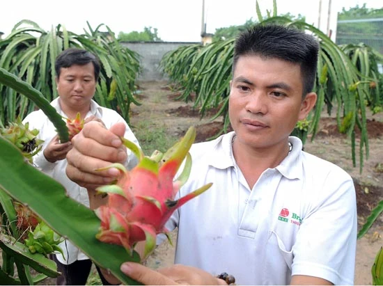 “Mặt cười” và “mặt méo”