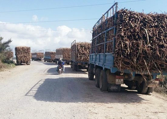 Gia Lai: Xe quá tải lộng hành, chánh thanh tra bị đình chỉ công tác