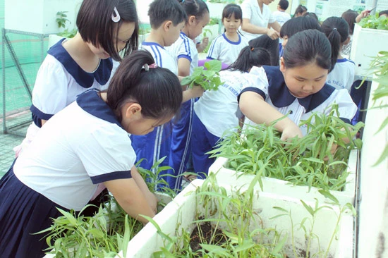 Dạy học bằng không gian mở