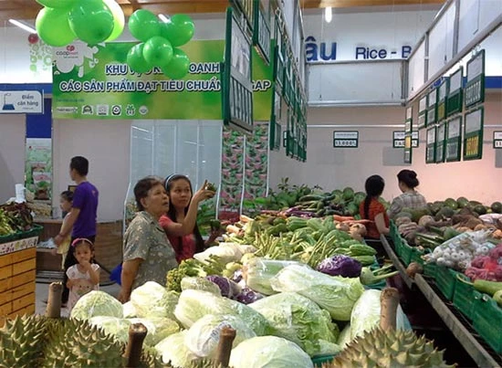 Kinh nghiệm từ Saigon Co.op