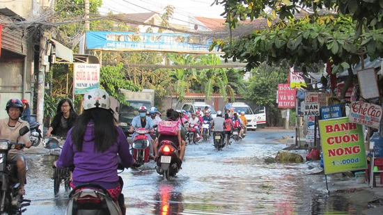 Có cống ngăn triều và bờ bao, vẫn ngập!