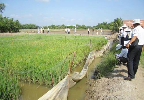 ĐBSCL sống chung với hạn, mặn