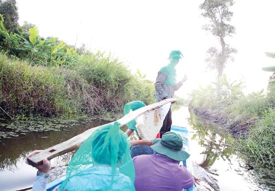 Tour hè giảm giá tới 1 triệu đồng tại Hội chợ du lịch TPHCM