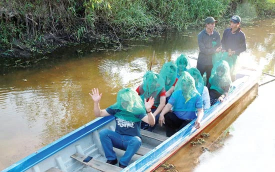 Cháy tour “U Minh Hạ mùa gác kèo ong” tại Hội chợ Du lịch TPHCM