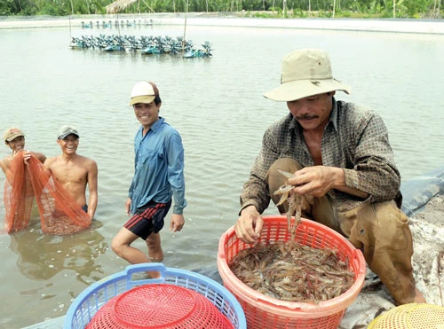 Gỡ hạn cho đồng bằng sông Cửu Long