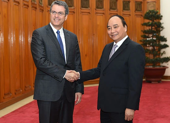 WTO đẩy mạnh hợp tác đào tạo nhân lực với Việt Nam