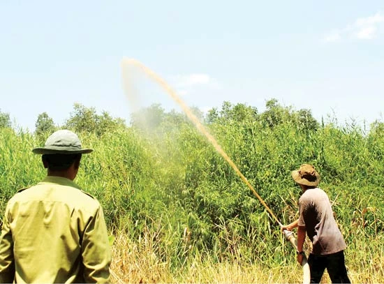 ĐBSCL nỗ lực phòng chống cháy rừng