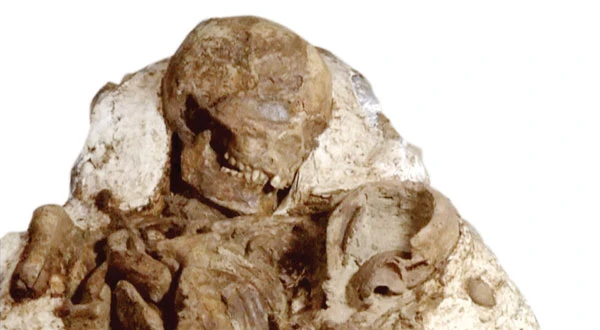 Phát hiện hóa thạch mẹ bồng con 4.800 năm