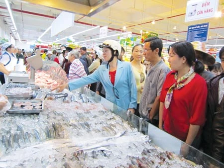 Saigon Co.op thu mua hải sản, chia sẻ khó khăn với ngư dân