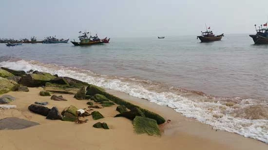 Quảng Bình: Xuất hiện nước biển màu đỏ, cá vẫn tiếp tục chết dạt vào bờ