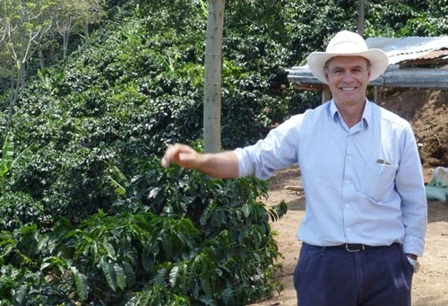 Câu chuyện cà phê ở Costa Rica