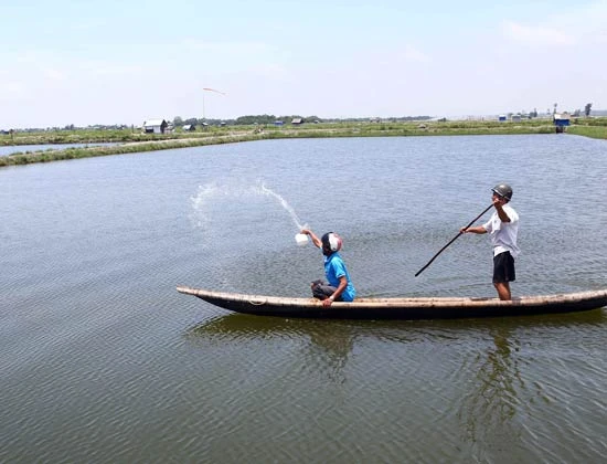 Liên tục phát hiện vi phạm về kinh doanh hàng cấm, hàng giả