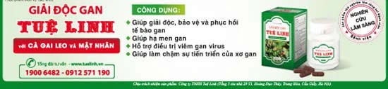 Bảo vệ gan từ dược liệu thiên nhiên: góc nhìn khoa học