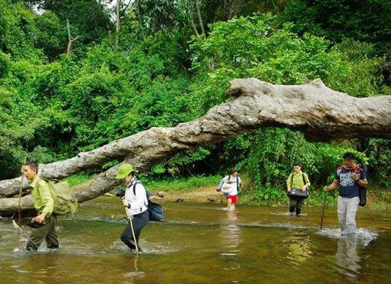 Tỉnh Gia Lai đề nghị không xây Thủy điện Vĩnh Sơn 2