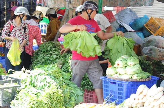 TPHCM cần 3.300 điều tra viên làm công tác thống kê