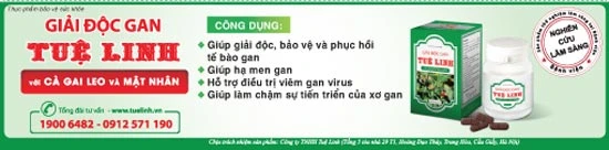 Bảo vệ gan từ dược liệu thiên nhiên: góc nhìn khoa học