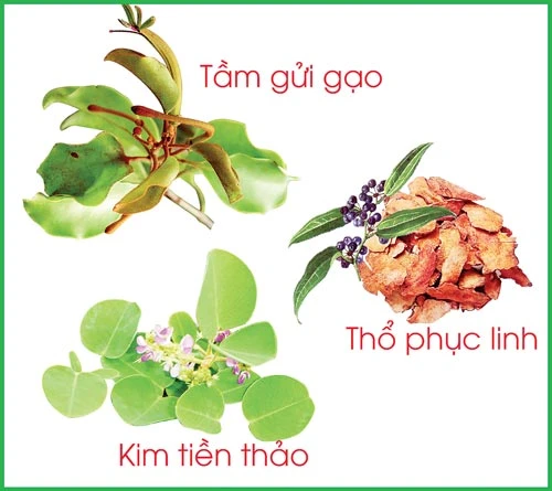 Phòng và trị suy thận mạn - giải pháp nào an toàn hiệu quả?