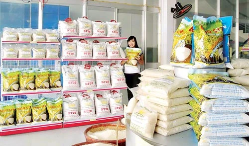 Xuất khẩu gạo thơm, Japonica và nếp tăng mạnh