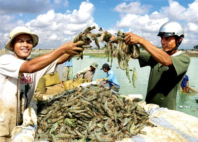 Việt Nam và Hoa Kỳ ký thỏa thuận chống bán phá giá tôm