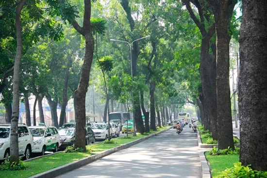 Vingroup xây dựng tuyến đường ven sông Sài Gòn