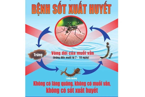 Kiểm tra dịch bệnh sốt xuất huyết tại 18 tỉnh thành trọng điểm