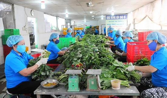 Phát triển Chuỗi thực phẩm an toàn cần lực đẩy toàn xã hội