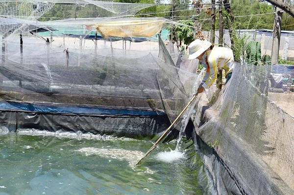 Làng biển trăn trở đổi nghề