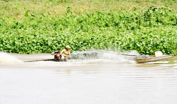 Buôn lậu vẫn “nóng” khu vực biên giới Long An