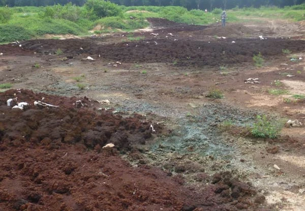 Phát hiện hàng trăm tấn chất thải, bùn thải bị đổ trộm giữa rừng cao su ở Đồng Nai