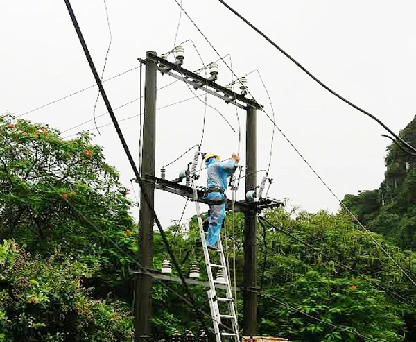 1 người chết, 1 người mất tích, 63 cột điện gãy đổ trong bão số 3