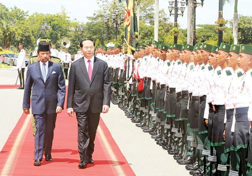 Mở rộng quan hệ hợp tác nhiều mặt Việt Nam - Brunei