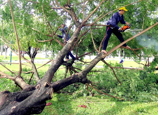 Khẩn trương khắc phục thiệt hại bão số 4