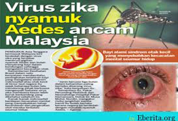 Malaysia xem xét khả năng cho phá thai đối với bà mẹ nhiễm Zika