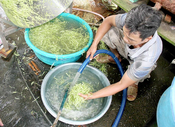 Rau muống nước sạch, bao giờ?