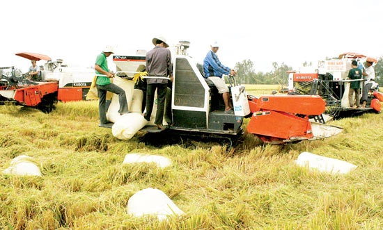 Hợp tác phát triển TPHCM - ĐBSCL: Cơ hội cho vùng sản xuất nông sản