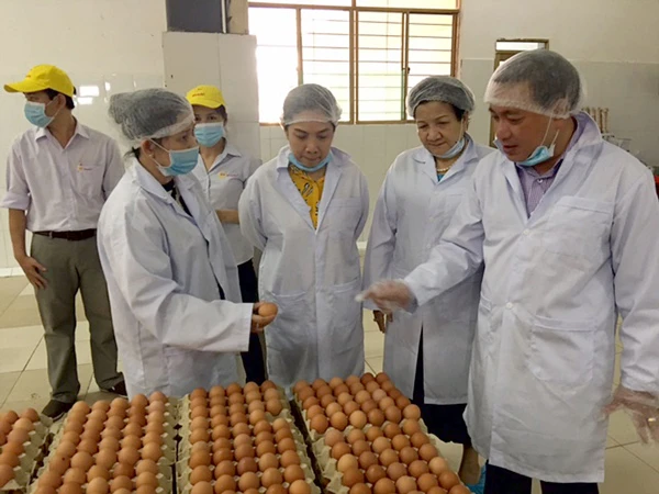 Doanh nghiệp cung ứng trứng gia cầm cam kết ổn định giá dịp Tết