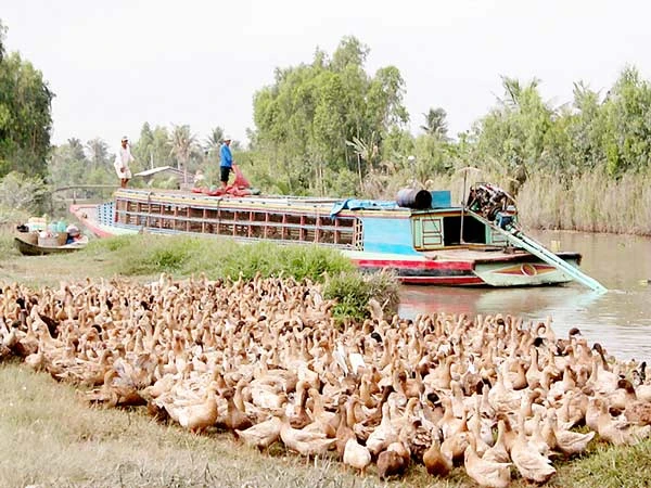 TPHCM - Long An liên kết cùng phát triển