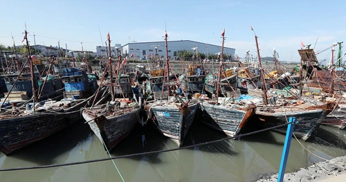 Hàn Quốc bắt được không đến 1% số tàu cá Trung Quốc đánh bắt trái phép