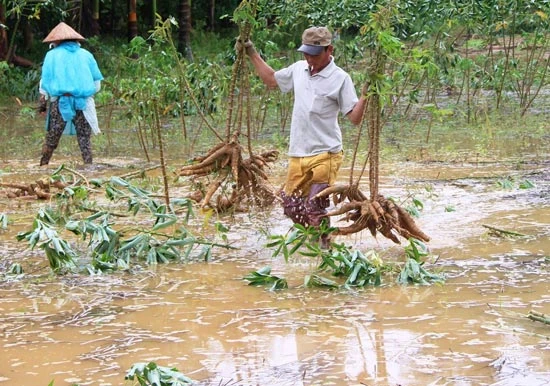 Mưa lũ tại Thừa Thiên – Huế khiến 1 người mất tích, 2 người bị thương