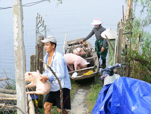 Lũ rút chậm, khó khăn chồng chất