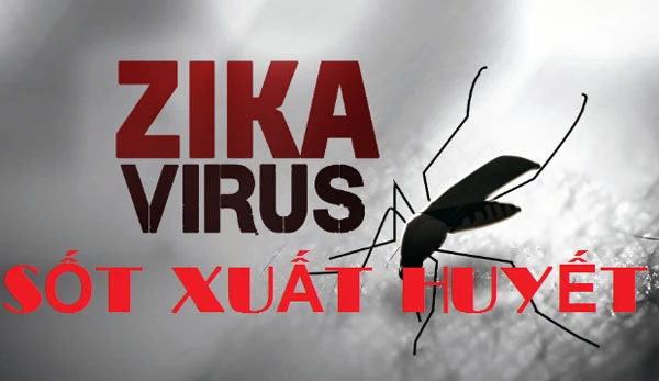 Nâng mức cảnh báo tăng cường phòng chống Zika và sốt xuất huyết