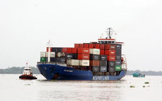 Tân cảng Cái Cui đón tàu container đầu tiên vào ĐBSCL