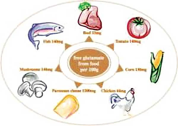 Monosodium glutamate trong thực phẩm