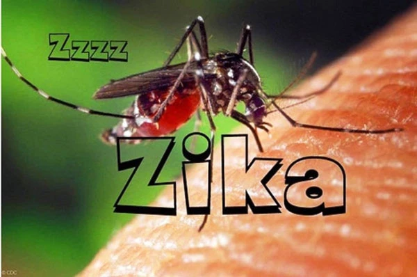 Thêm hàng chục ca nhiễm virus Zika ở Thái Lan và Philippines