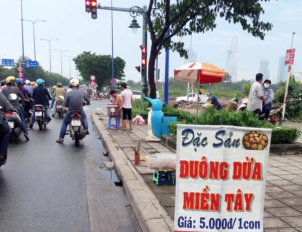 Vẫn rao bán công khai đuông dừa